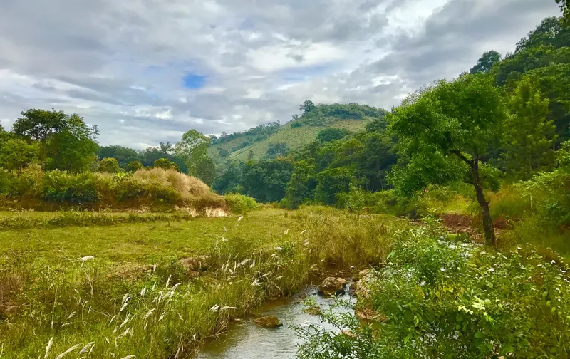 A stream through grassland below forested hills near Lambasingi