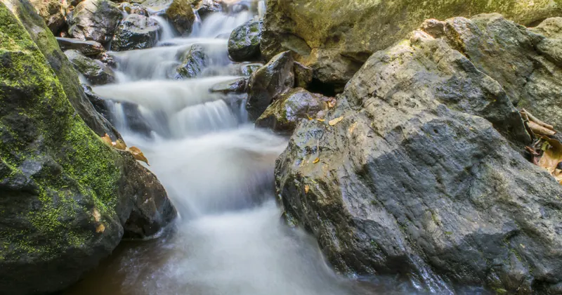 Water tumbling over mossy boulders in a forest stream at Maredumilli
