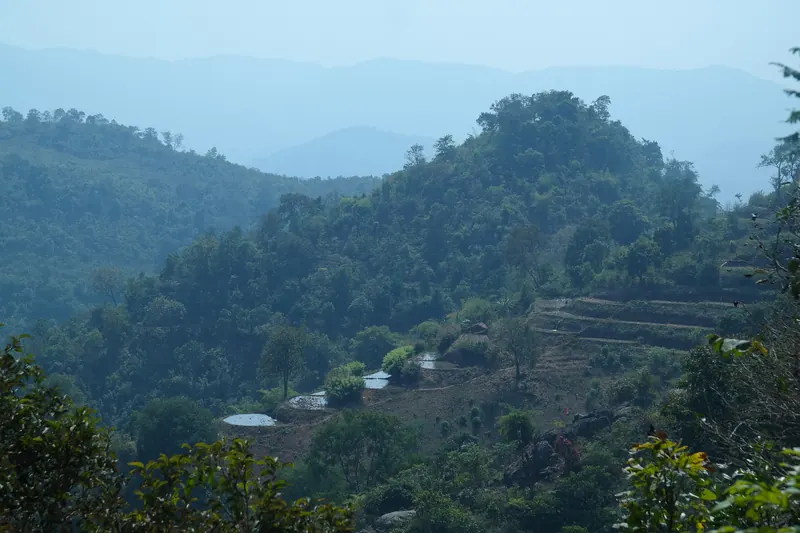 Hazy blue hills with terraced fields in Araku Valley