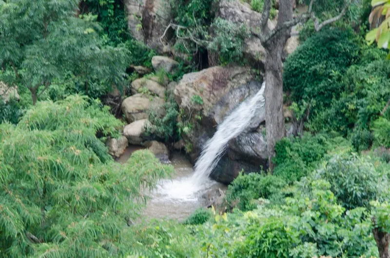 A small waterfall in green forest beside the ghat road to Araku